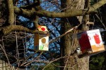 Bird Feeders…. From Recyclables!