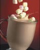 Make Your Own: Peppermint Hot Cocoa Mix