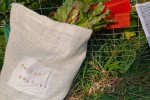 Garden Bag Giveaway