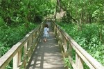 Nature Hike…with a stroller?