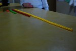Graphing with Skittles