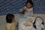 Indoor Snow Picnic