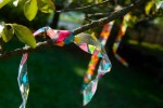 Outdoor Streamers