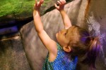 FREE Museum Day