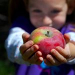 applefestival5