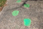 Weekend Rewind — Catching Leprechauns