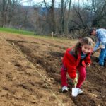 gardenstart2