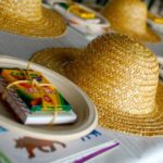 stonyfieldteaser2