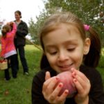 applefest15