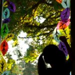 fallwindow1