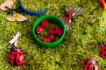7 Fun Ideas for Sensory Bins