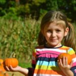 pumpkinpatch1