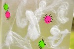 Spider Web Sun Catchers