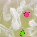 spiderwebsuncatcher3