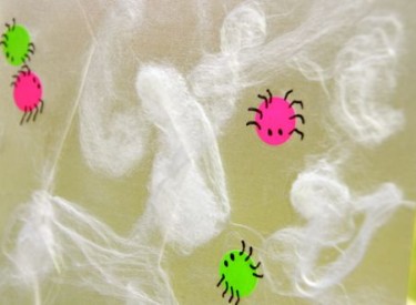 Spider Web Sun Catchers