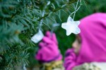 Wordless Wednesday — Icy Ornaments