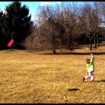 flyingkite1