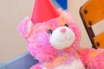 Birthday Party for Teddy!