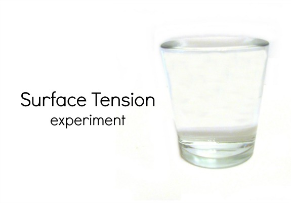 Surface Tension Experiment