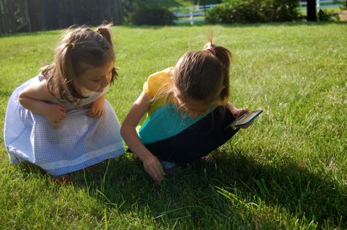 Nature Study Kit from Recyclables - Inner Child Fun