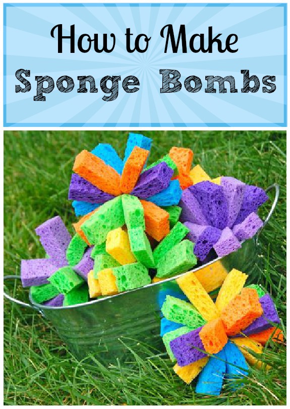 DIY Legacy Sponge