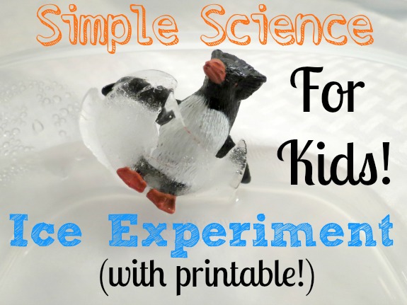 This simple ice experiment is easy to prepare and is a great way to get kids excited about science!