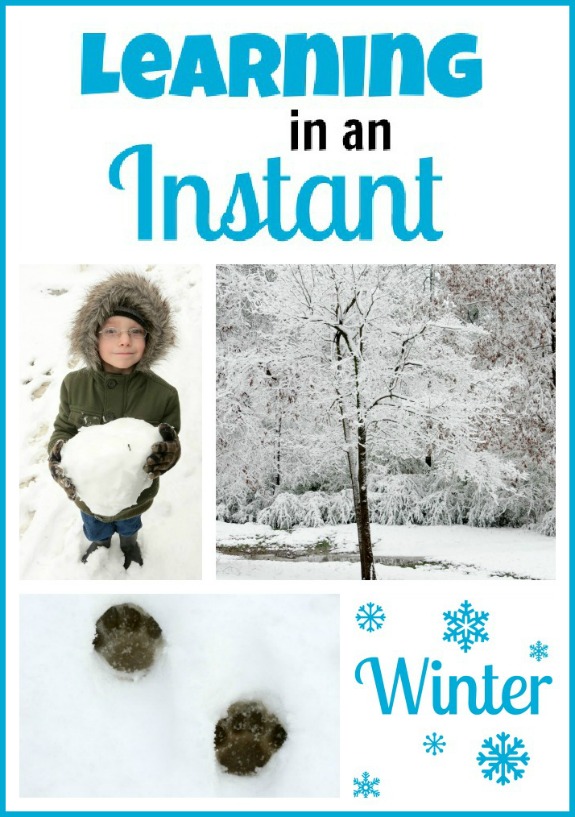 Learning In An Instant: Winter