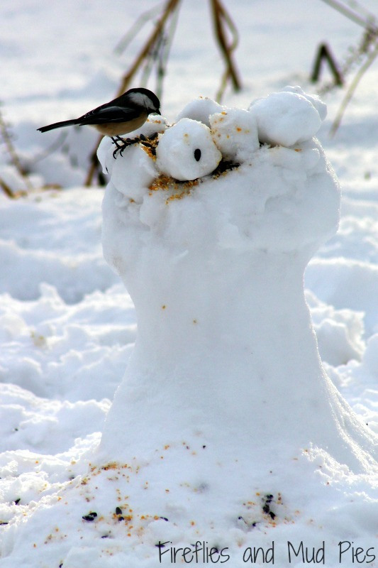 DIY Winter Bird Feeder