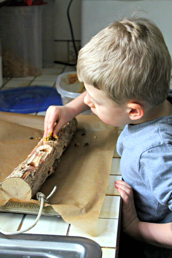 Building Bird Feeders with Real Tools