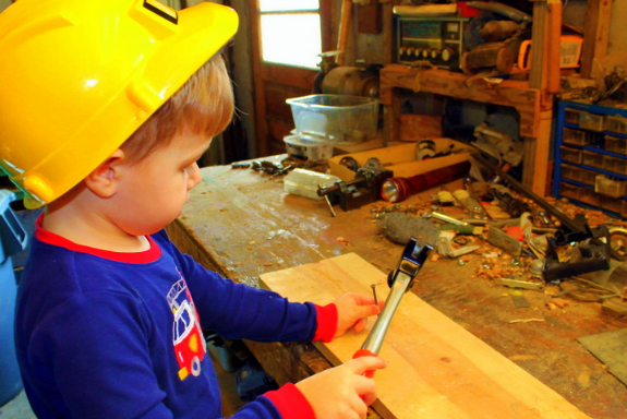 Building Bird Feeders with Real Tools