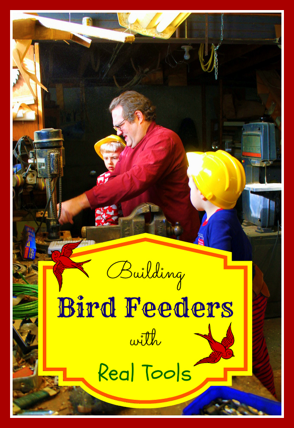 Building Bird Feeders with Real Tools