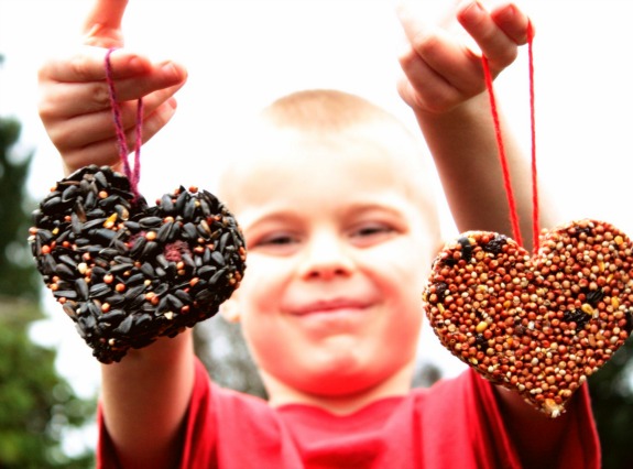 Hanging Shape Bird Feeders