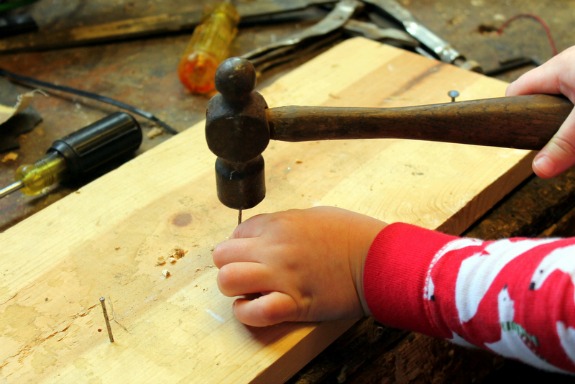 Building Bird Feeders with Real Tools