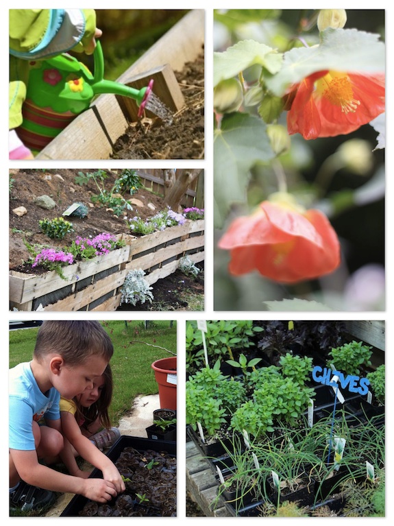 kids in the garden