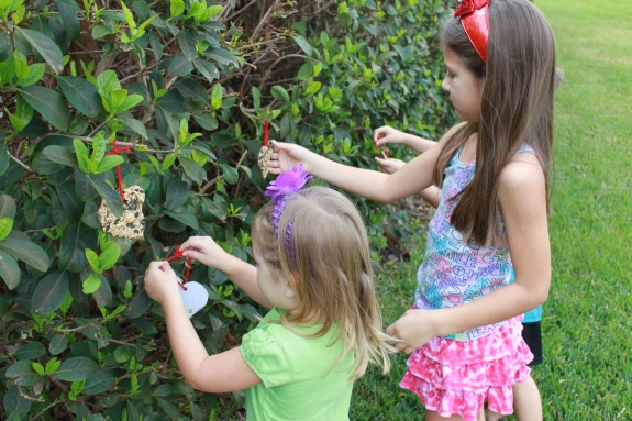 Homemade Bird Feeders