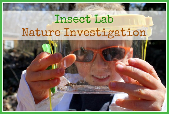 insect lab nature investigation