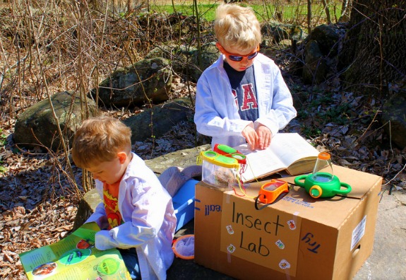 Insect Lab Nature Investigation