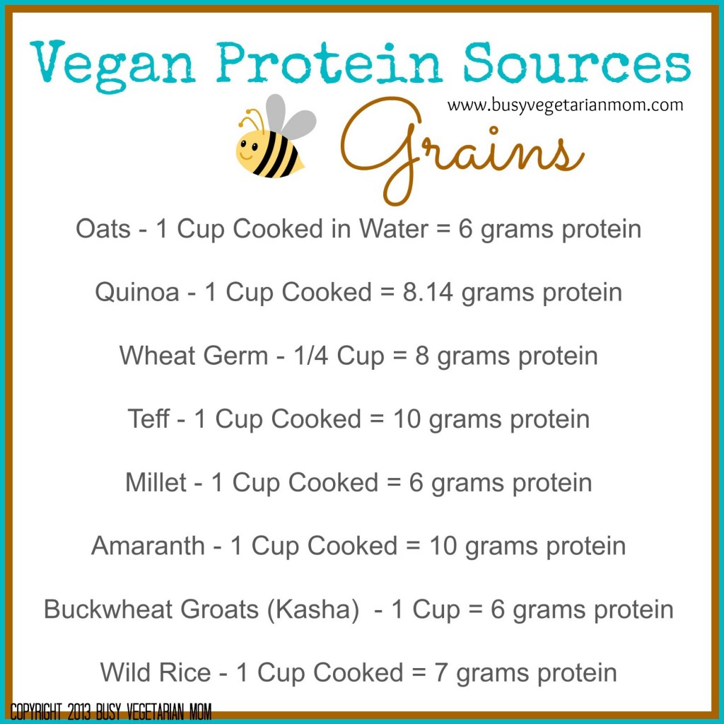 vegan-protein1-1024x1024