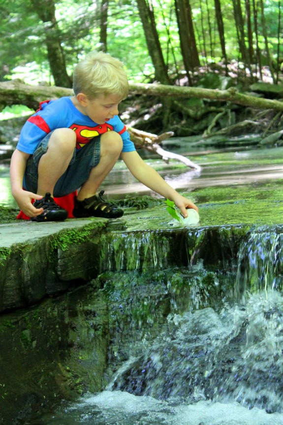 Fossil Hunting at the Creek