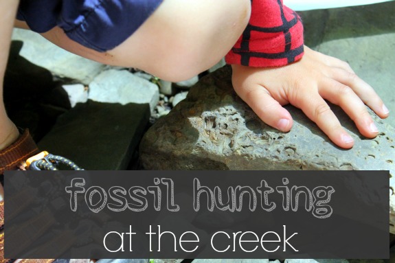 Fossil Hunting at the Creek