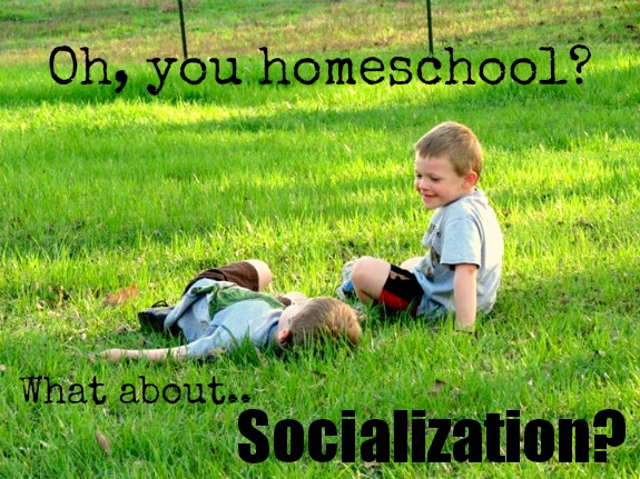 What About Socialization?