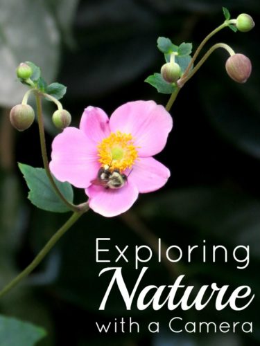 Explore Nature with a Camera