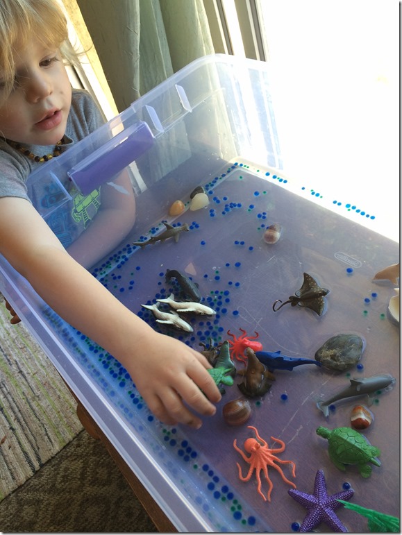 Ocean Sensory Table