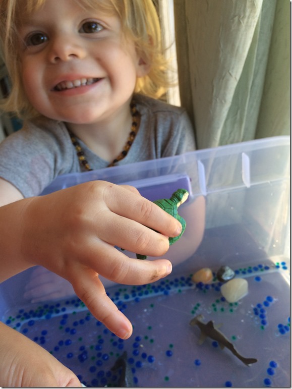 Creating an Ocean Sensory Table