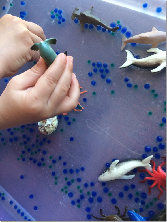 Creating an Ocean Sensory Table