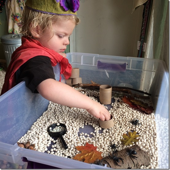Homeschooling with Toddlers -- Sensory Bins