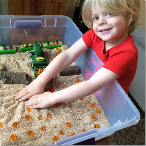 Homeschooling with Toddlers -- Sensory Bins