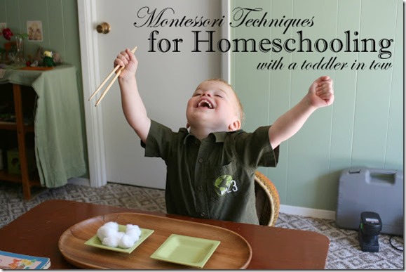 Homeschooling with Toddlers - Montessori Trays