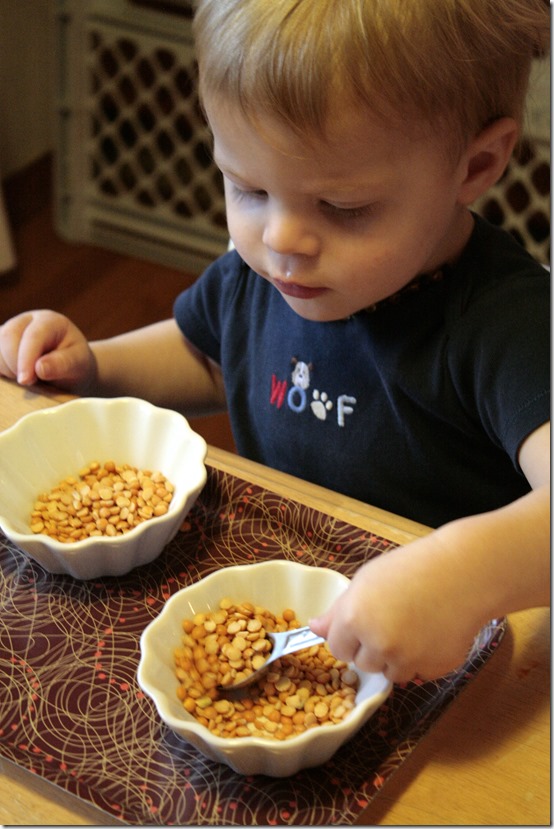 Homeschooling with Toddlers - Montessori Trays