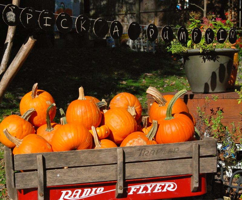 5 Tips for Hosting a Pumpkin Painting Party